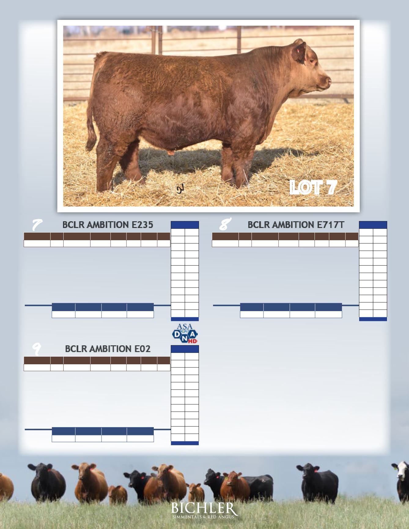DVAuction Online Catalogs